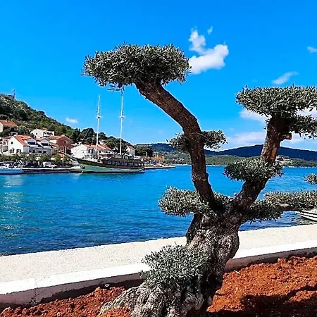 Tal Tisno